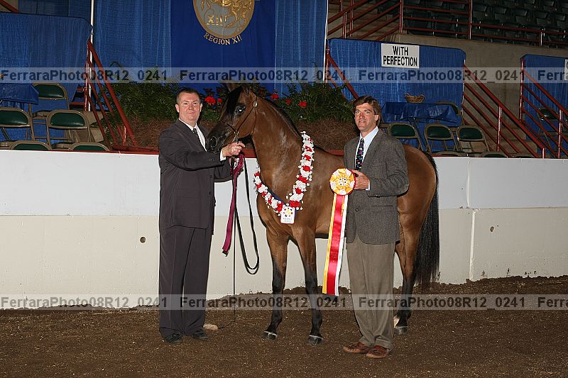 Proof 08r12_0241