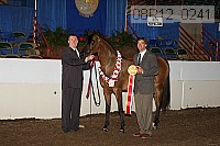 08r12_0241 proof