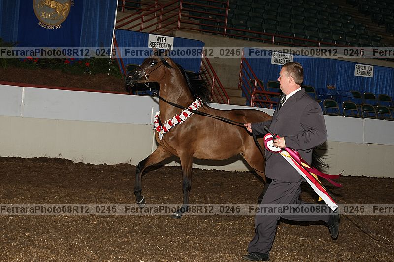 Proof 08r12_0246