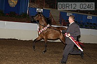 08r12_0246 proof