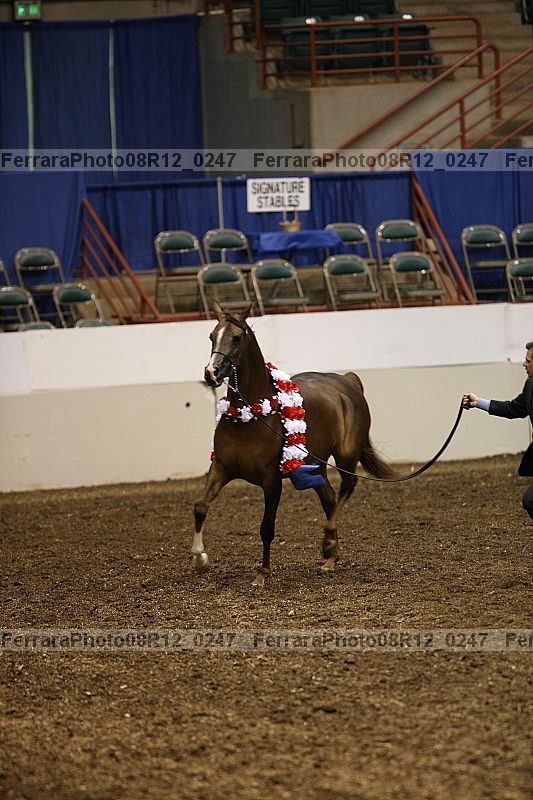 Proof 08r12_0247