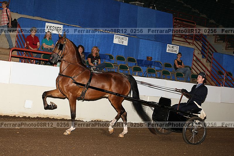 Proof 08r12_0256