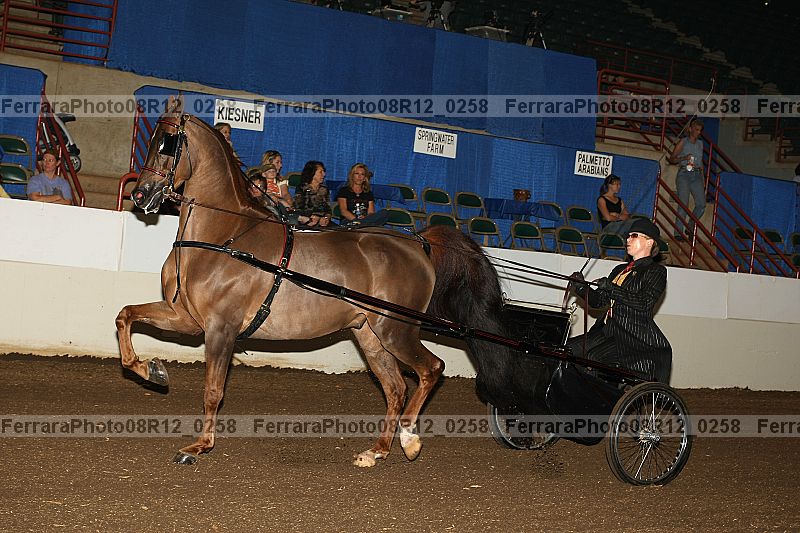 Proof 08r12_0258