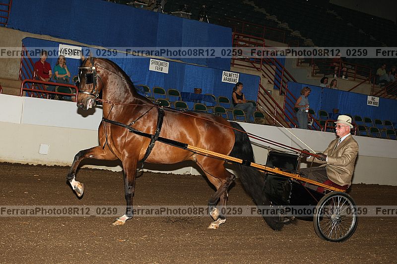 Proof 08r12_0259