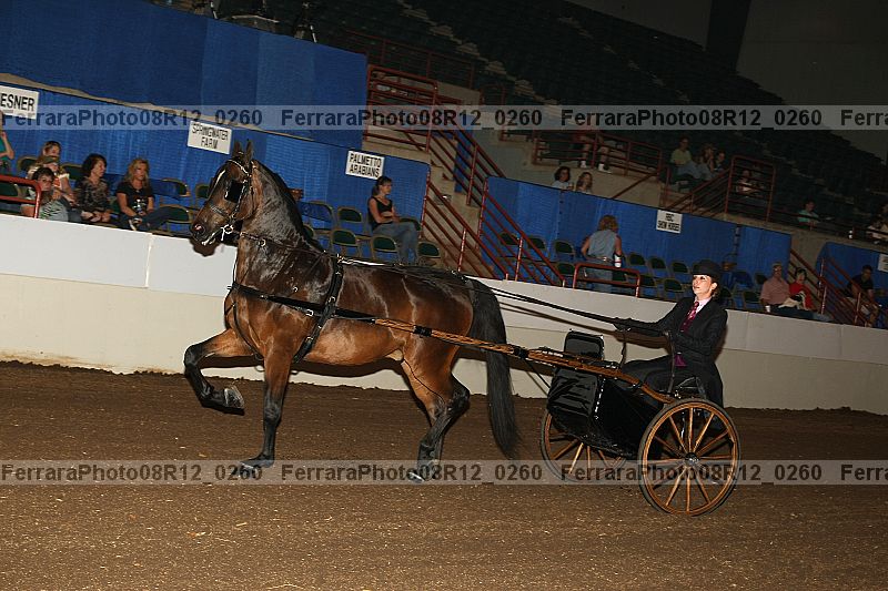 Proof 08r12_0260