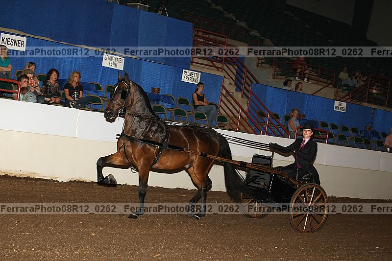 Proof 08r12_0262