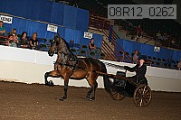 08r12_0262 proof