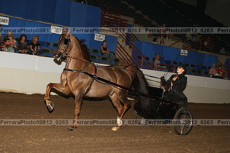 Proof 08r12_0263