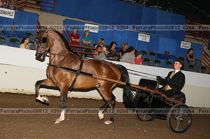 Proof 08r12_0264