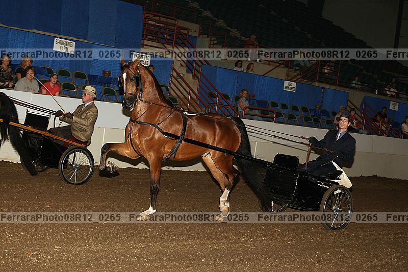 Proof 08r12_0265