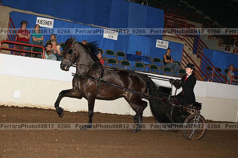 Proof 08r12_0266