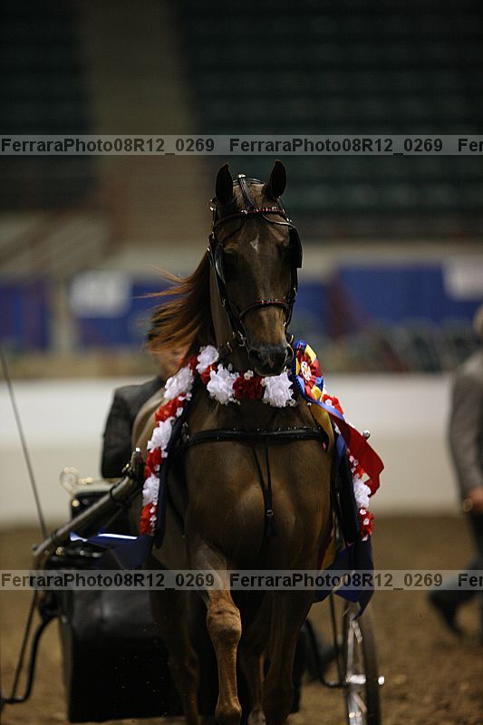 Proof 08r12_0269