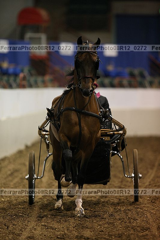 Proof 08r12_0272