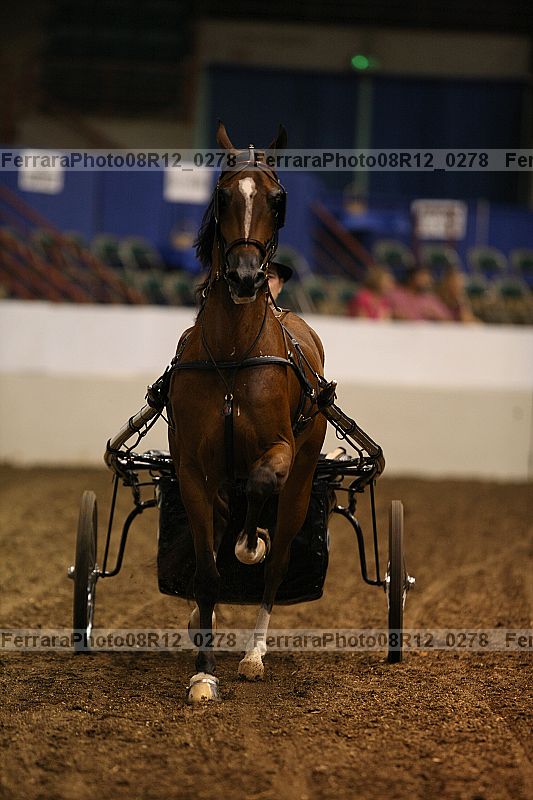 Proof 08r12_0278