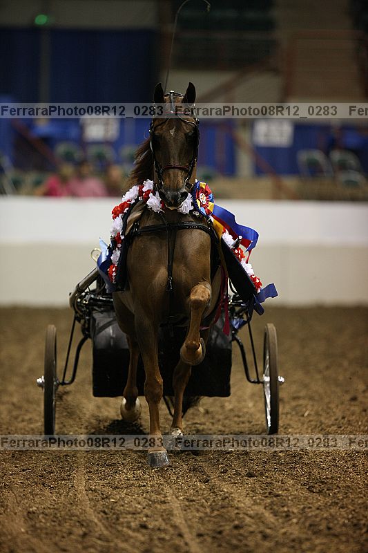 Proof 08r12_0283