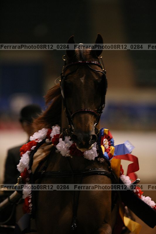 Proof 08r12_0284