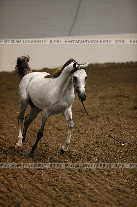 Proof 08r12_0290