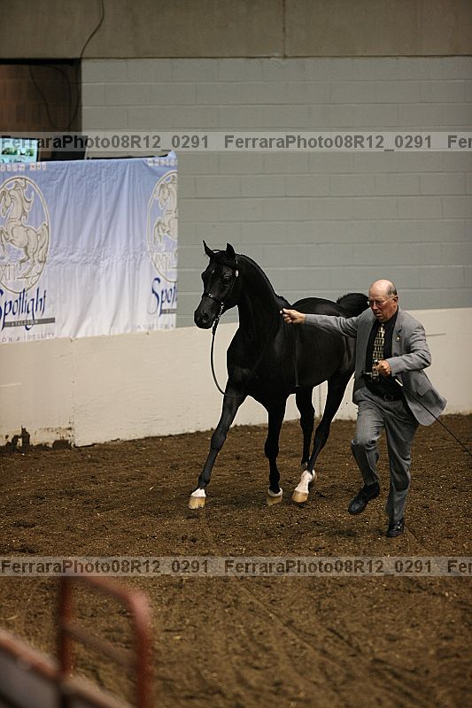 Proof 08r12_0291