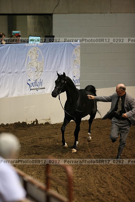 Proof 08r12_0292