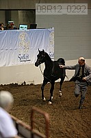 08r12_0292 proof
