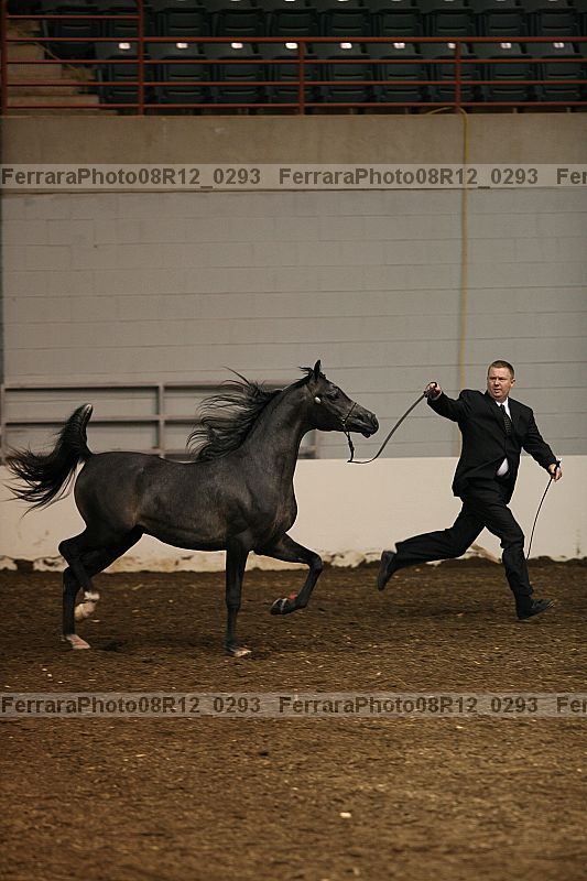 Proof 08r12_0293