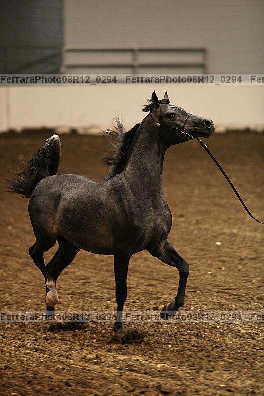 Proof 08r12_0294