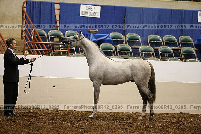 Proof 08r12_0295