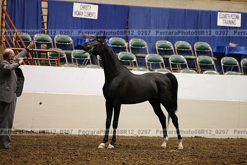 Proof 08r12_0297