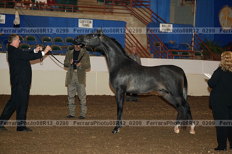 Proof 08r12_0299