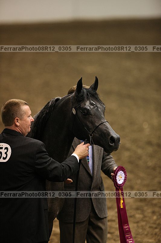 Proof 08r12_0305