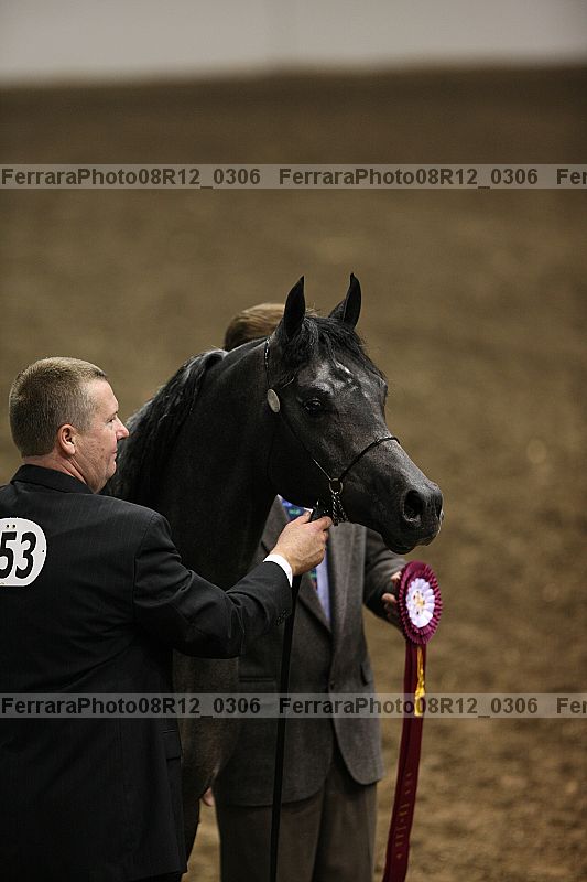 Proof 08r12_0306