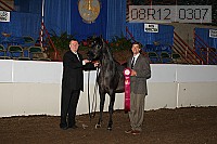 08r12_0307 proof