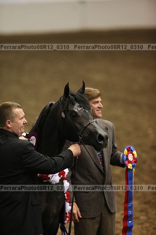 Proof 08r12_0310