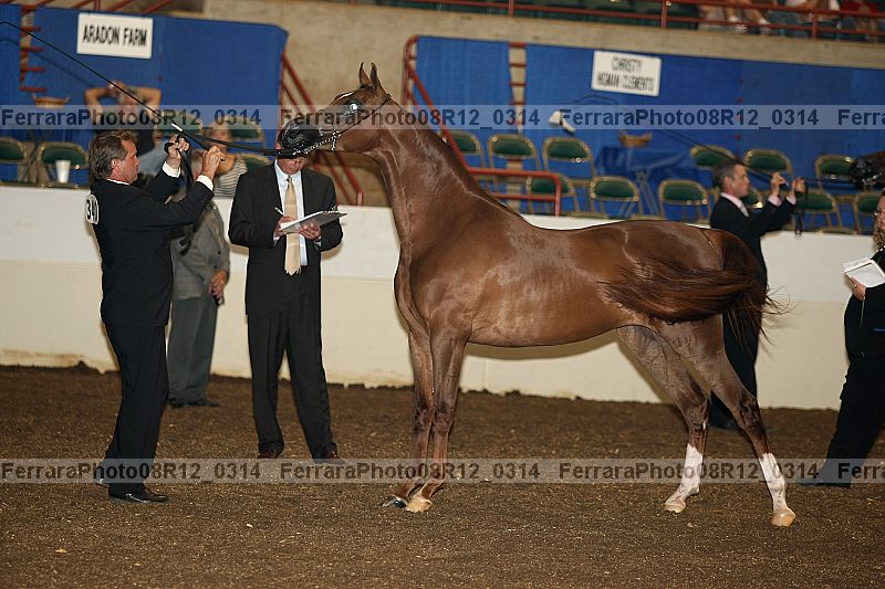 Proof 08r12_0314