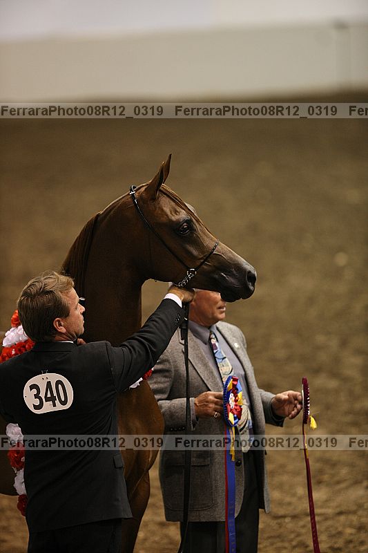 Proof 08r12_0319
