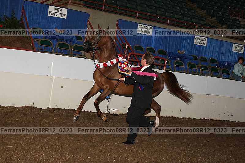 Proof 08r12_0323
