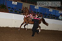 08r12_0323 proof