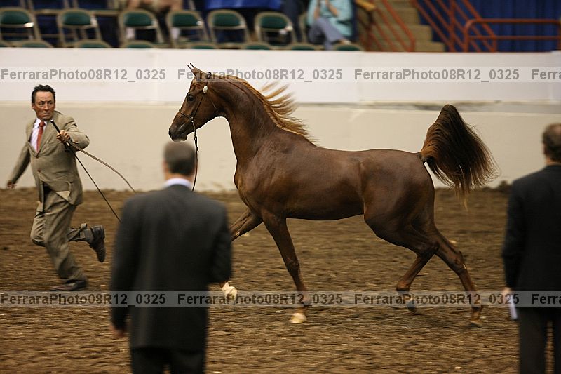 Proof 08r12_0325