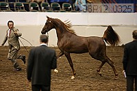 08r12_0325 proof