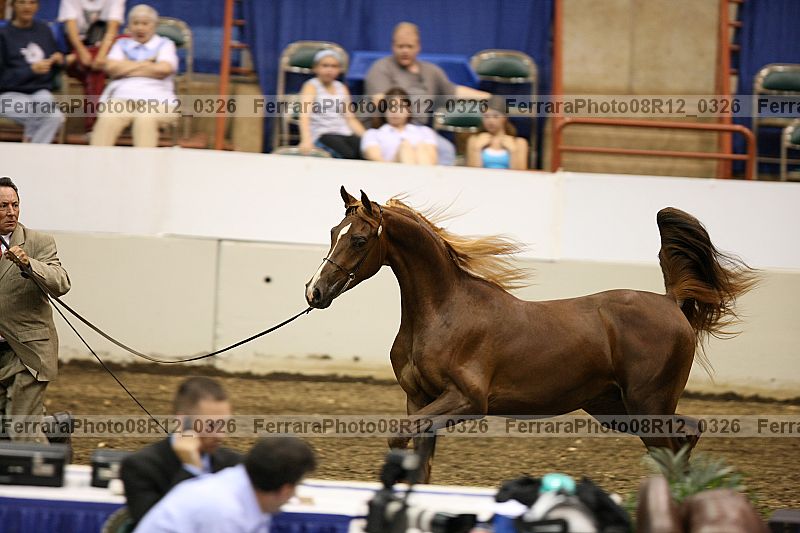 Proof 08r12_0326