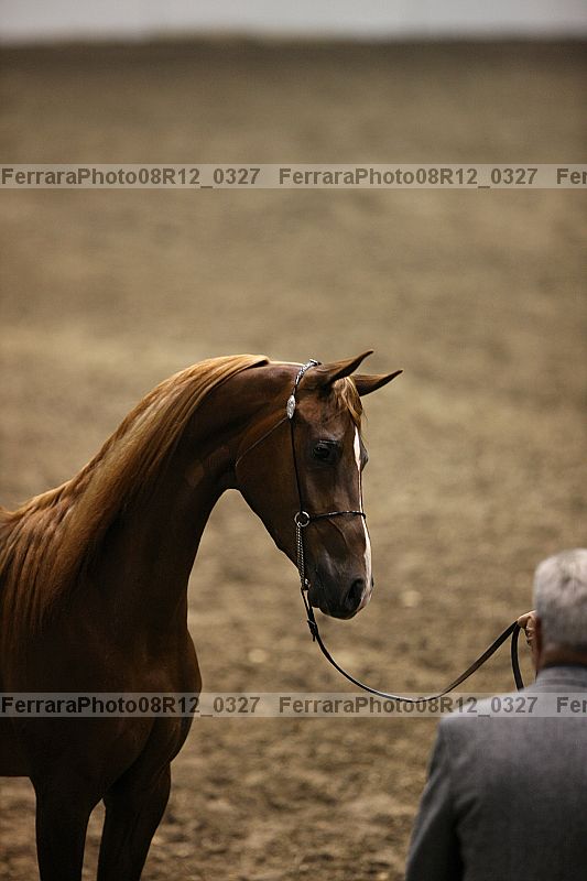 Proof 08r12_0327