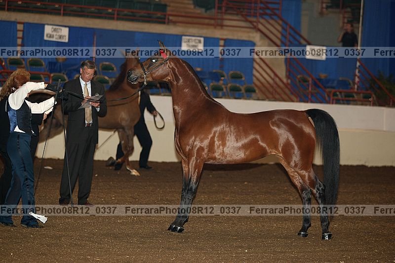 Proof 08r12_0337