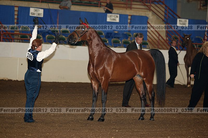 Proof 08r12_0338