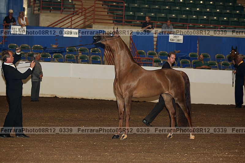 Proof 08r12_0339