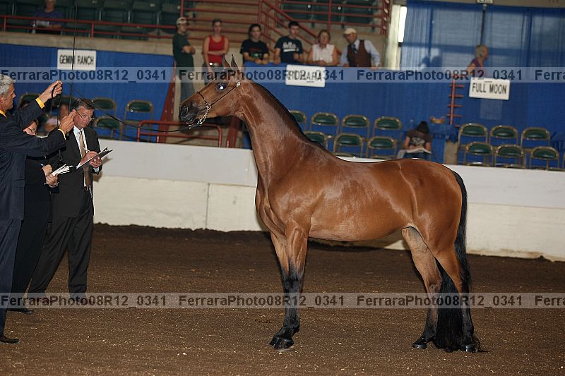Proof 08r12_0341
