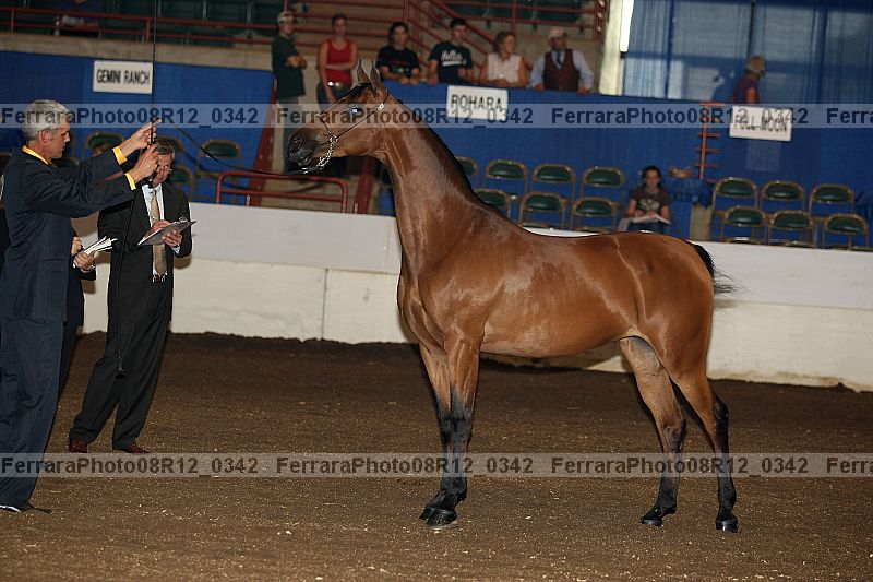 Proof 08r12_0342