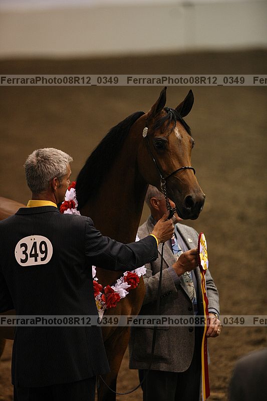 Proof 08r12_0349