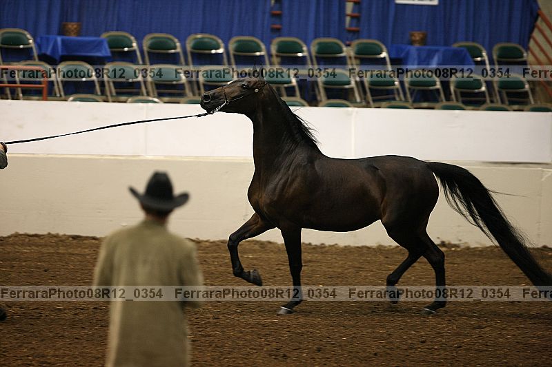 Proof 08r12_0354