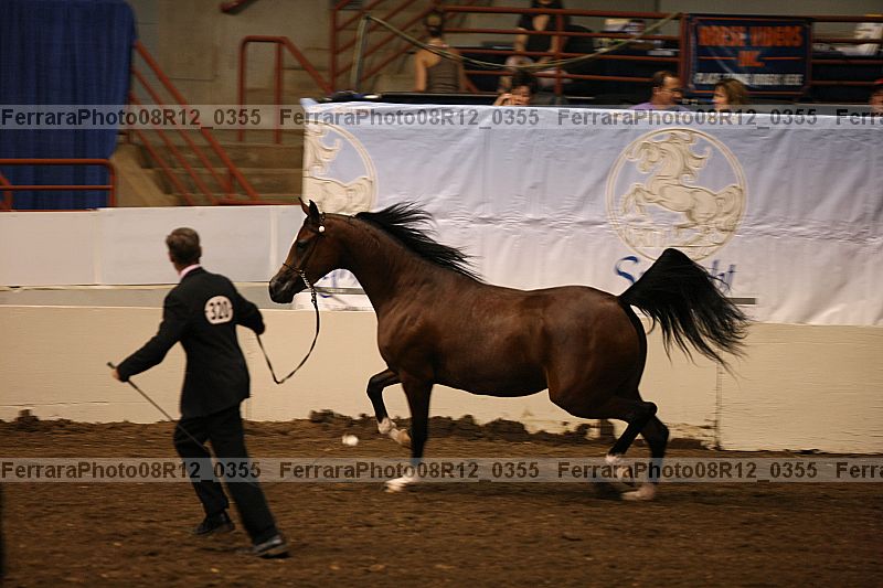 Proof 08r12_0355
