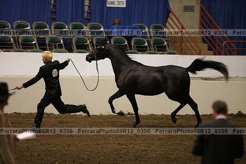 Proof 08r12_0356